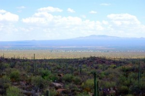 Tucson Arizona Dance Schools Looking Dance Instructors Jobs Available Dance Teaching Positions AZ Dance Teacher Job Listings