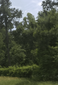 wake forest dance instructor jobs triangle area dance teaching jobs Raleigh dance schools hiring