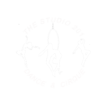 The STUDIO 201 Dance & Cirque